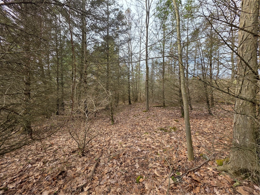 Dingman Hill Road Bainbridge, NY 13733 - Photo 13 of 21
