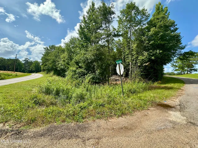 $85,000 | 66 Pete Freeman Road, Decatur, MS 39327