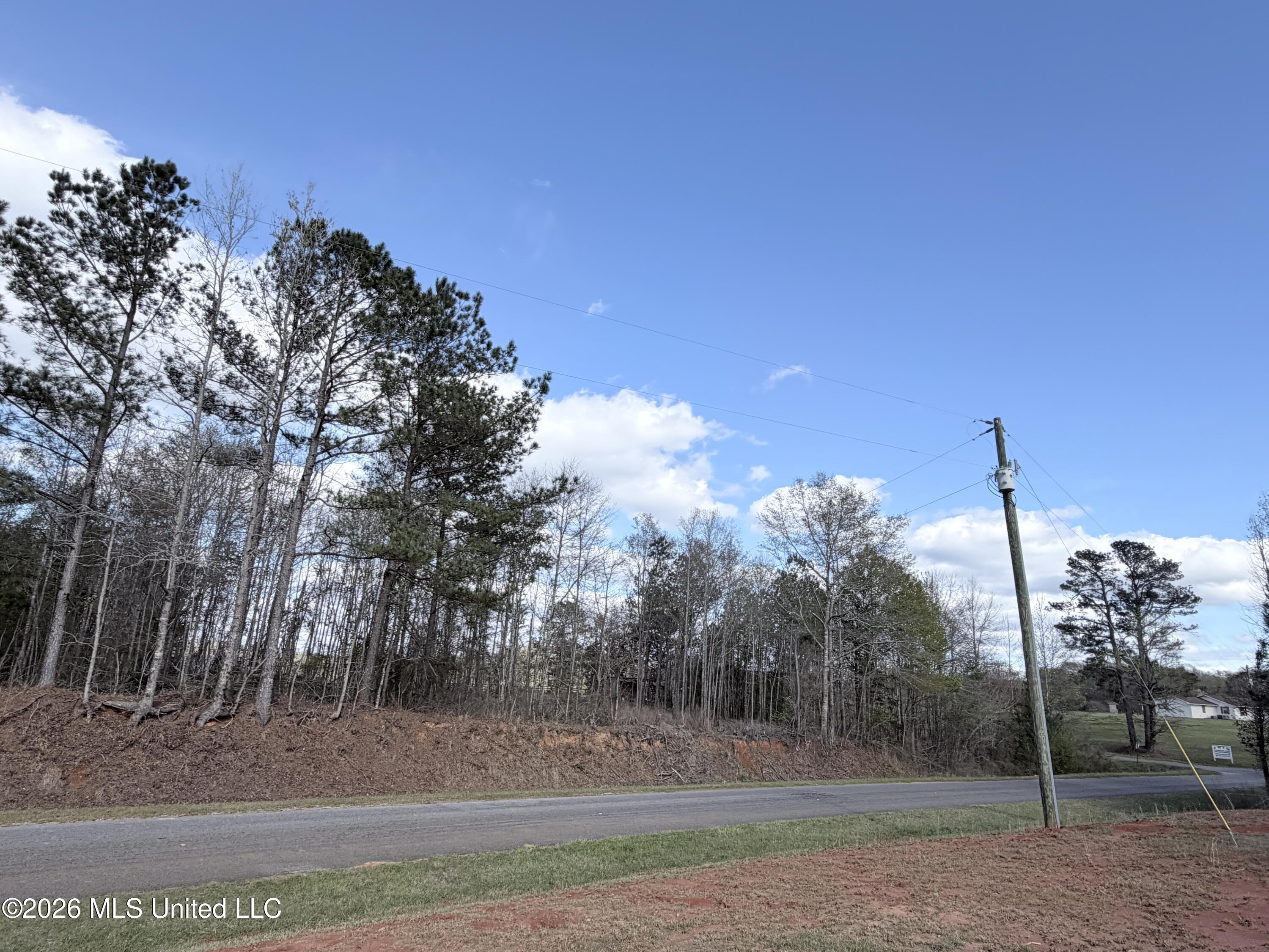 66 Pete Freeman Road Decatur, MS 39327 - Photo 2 of 8 IMG_3045