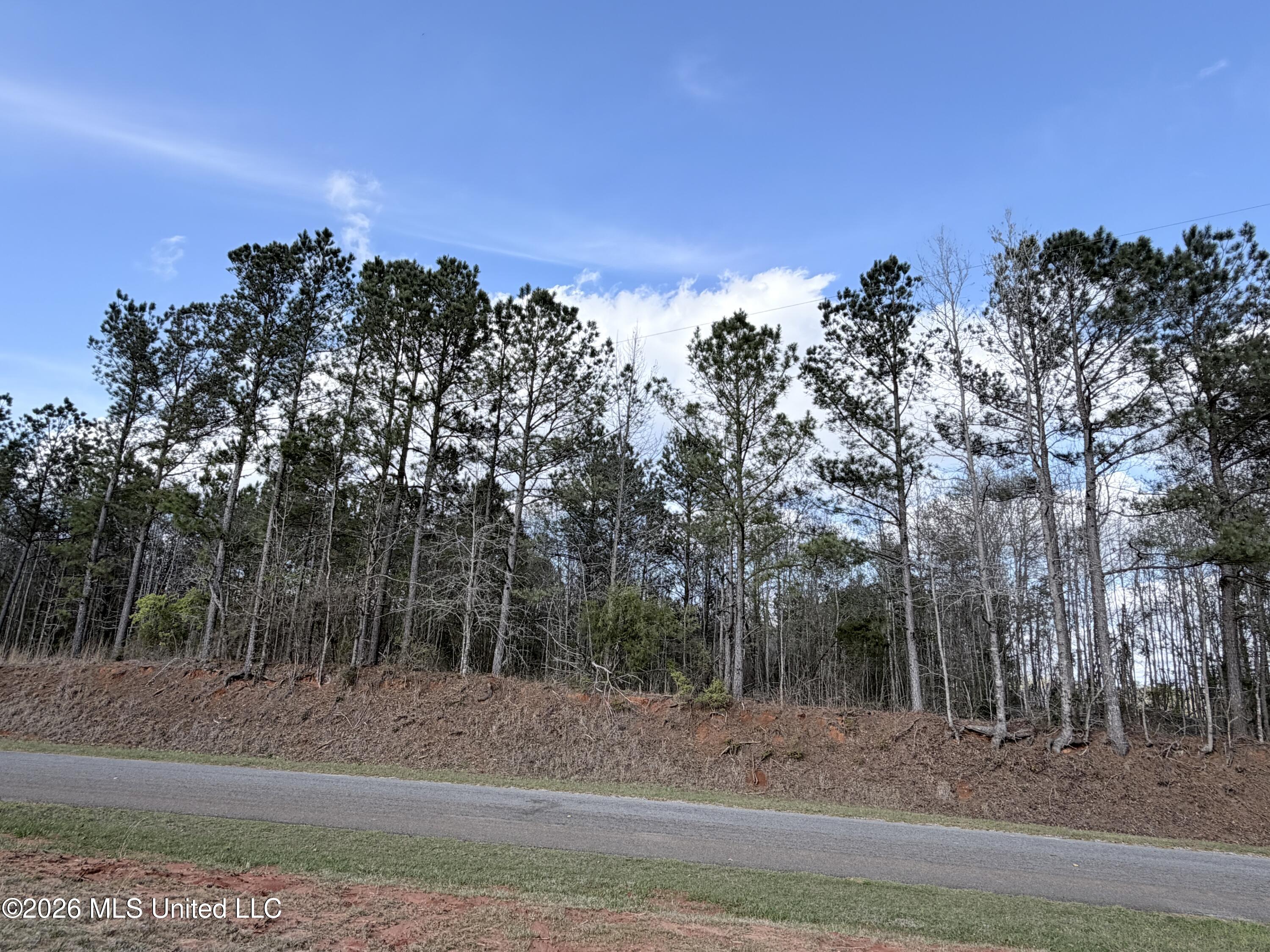 66 Pete Freeman Road Decatur, MS 39327 - Photo 3 of 8 IMG_3042