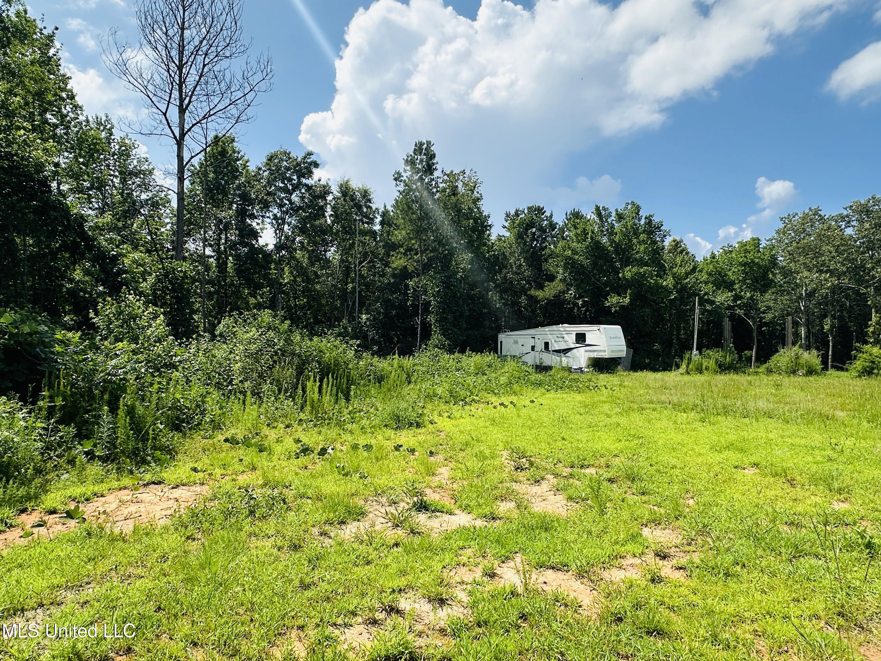 66 Pete Freeman Road Decatur, MS 39327 - Photo 4 of 5 IMG_1977