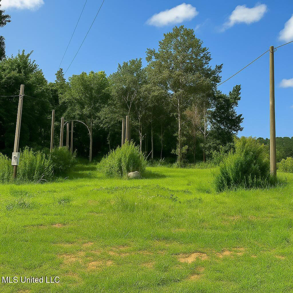 66 Pete Freeman Road Decatur, MS 39327 - Photo 6 of 8 033057EE-C3B8-4F9A-B2DC-687A15666DF7