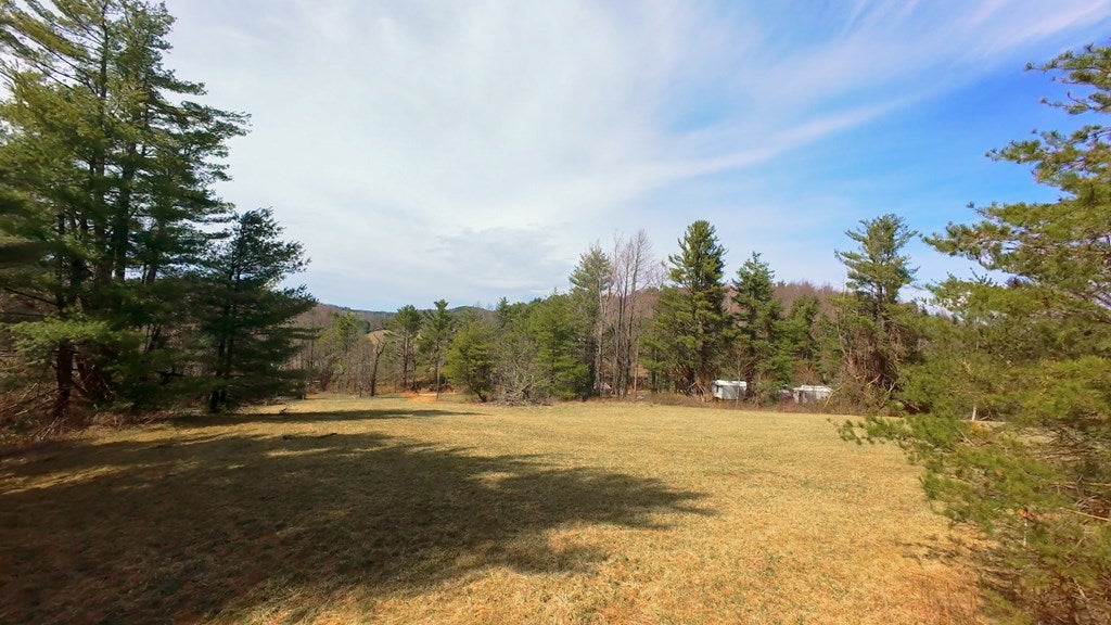 2 Graysville Road, Unit TRACT 2 Copper Hill, VA 24079 - Photo 15 of 18 Gallery Image 15
