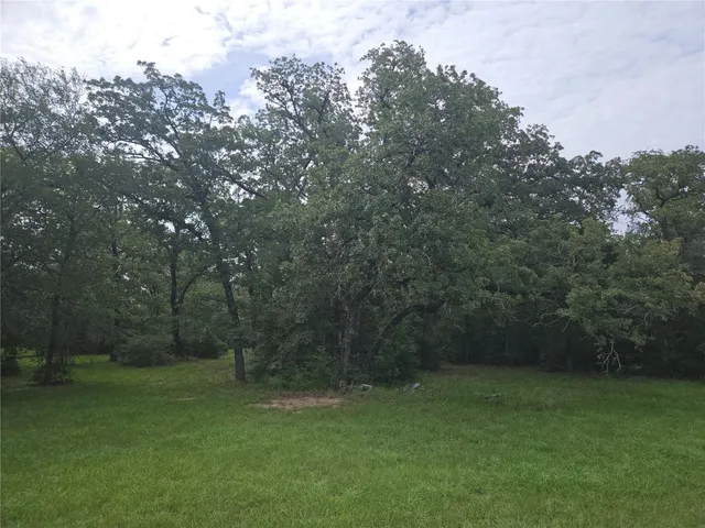 $425,000 | 350 Oak Creek Trail, Thrall, TX 76578