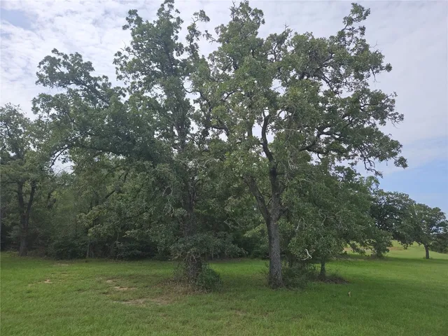 $425,000 | 350 Oak Creek Trail, Thrall, TX 76578