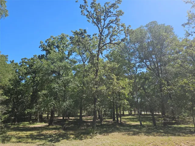 $425,000 | 350 Oak Creek Trail, Thrall, TX 76578