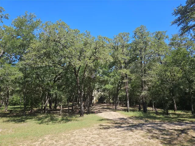 $425,000 | 350 Oak Creek Trail, Thrall, TX 76578