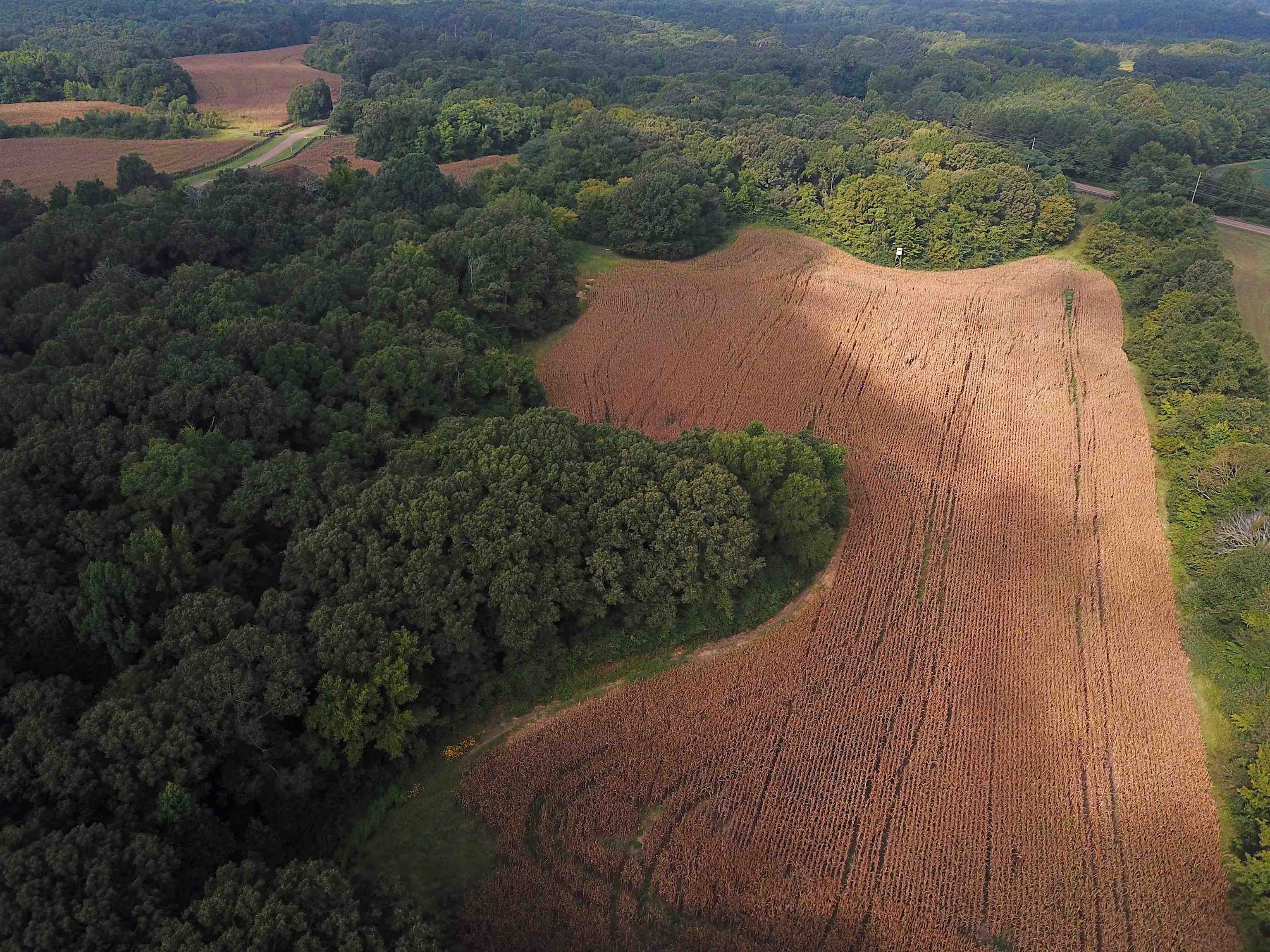 42 Richardson Road Hickory Valley, TN 38039 - Photo 11 of 17 an aerial view of a house with yard