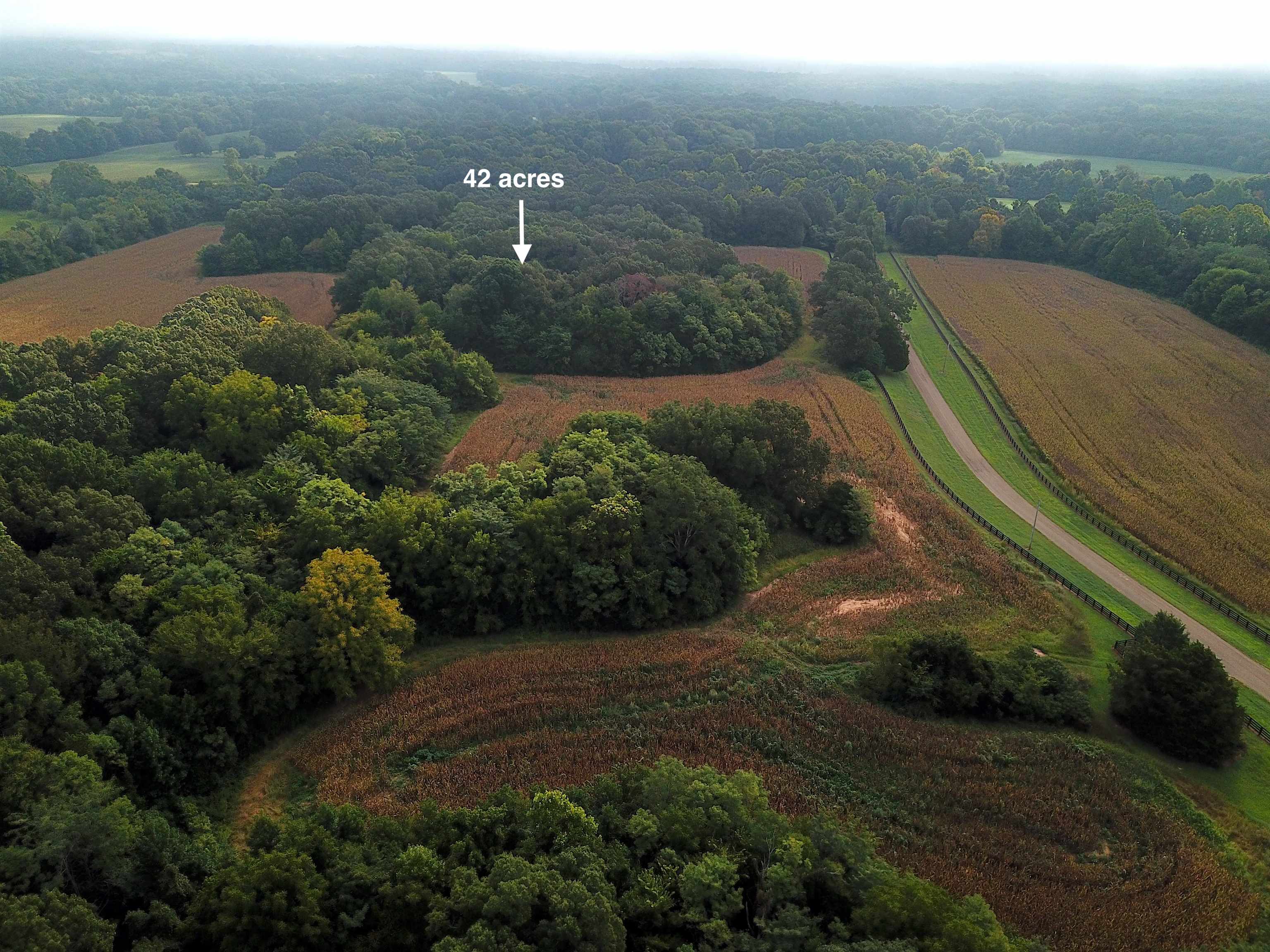 42 Richardson Road Hickory Valley, TN 38039 - Photo 13 of 17 a view of a street with a yard