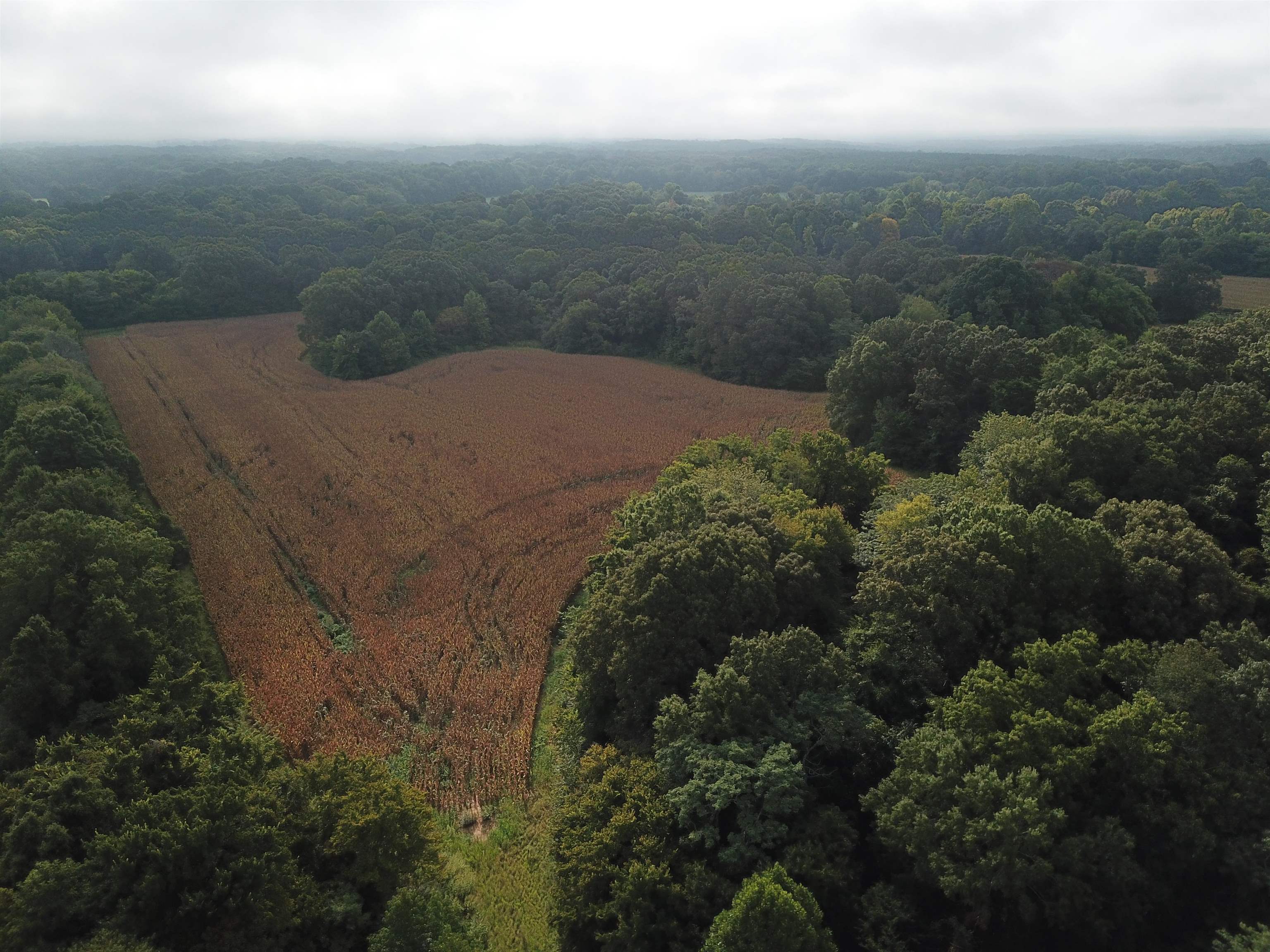 42 Richardson Road Hickory Valley, TN 38039 - Photo 15 of 17