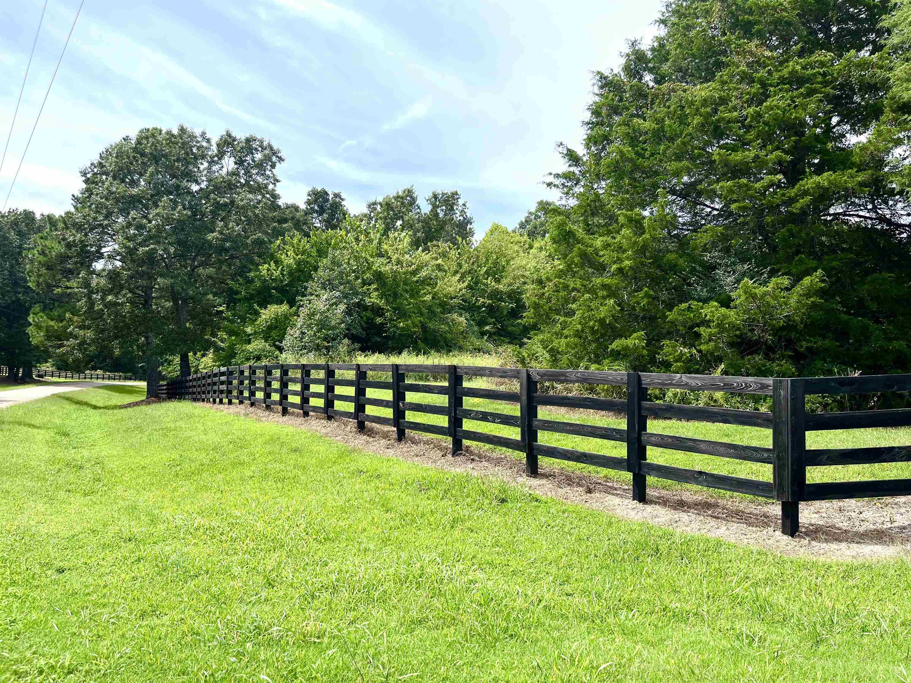42 Richardson Road Hickory Valley, TN 38039 - Photo 2 of 17 a green field with trees in the background