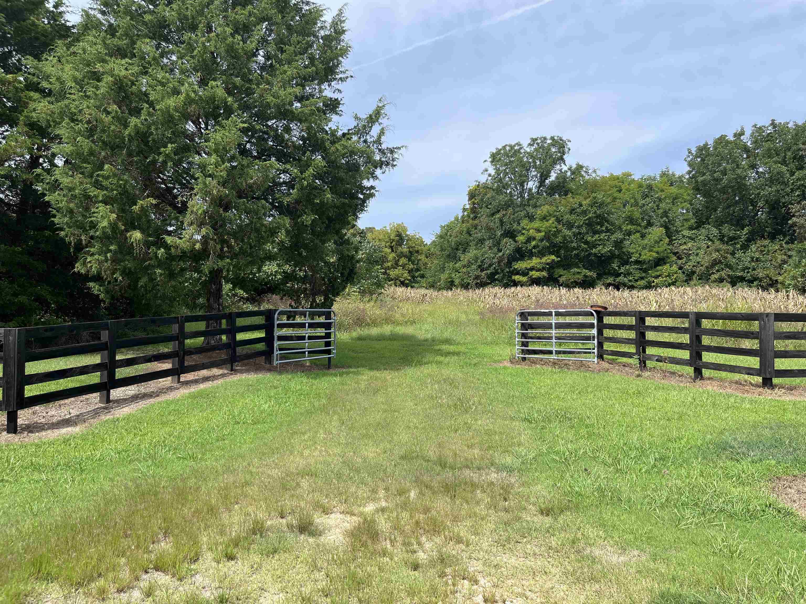 42 Richardson Road Hickory Valley, TN 38039 - Photo 3 of 17 a view of a bench in a park