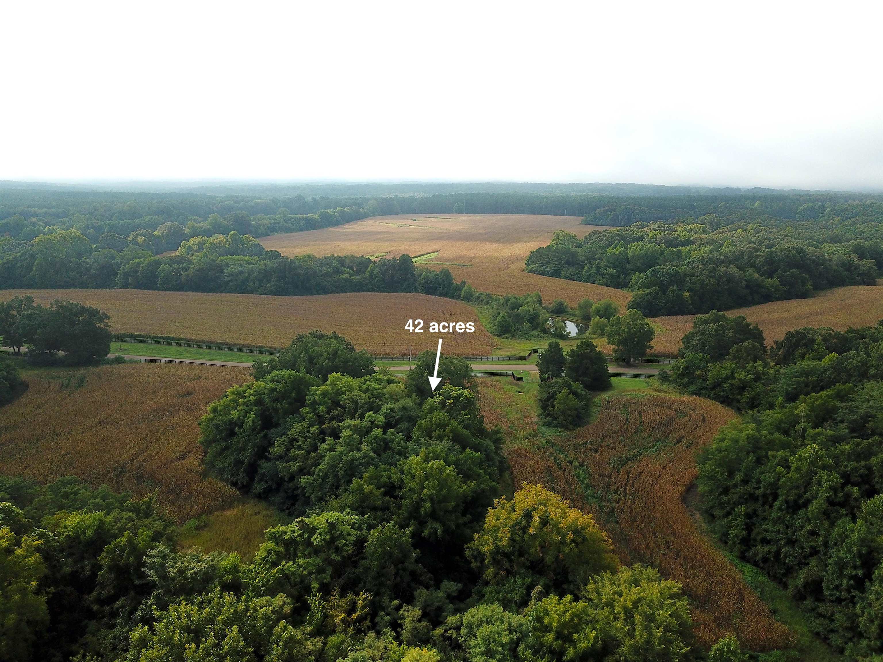 42 Richardson Road Hickory Valley, TN 38039 - Photo 5 of 17 an aerial view of a houses with outdoor space and ocean view