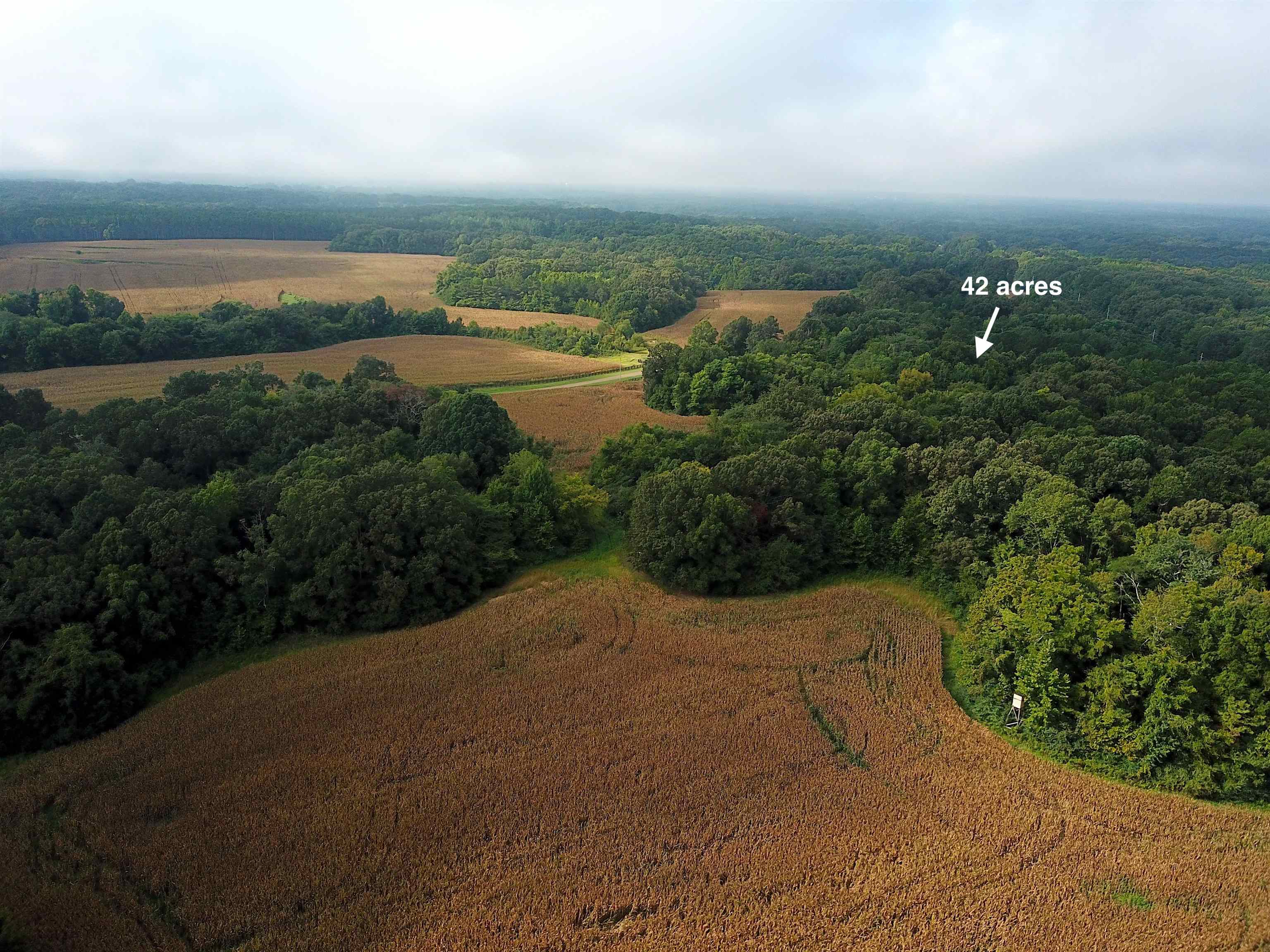 42 Richardson Road Hickory Valley, TN 38039 - Photo 8 of 17 a view of a city with an ocean view