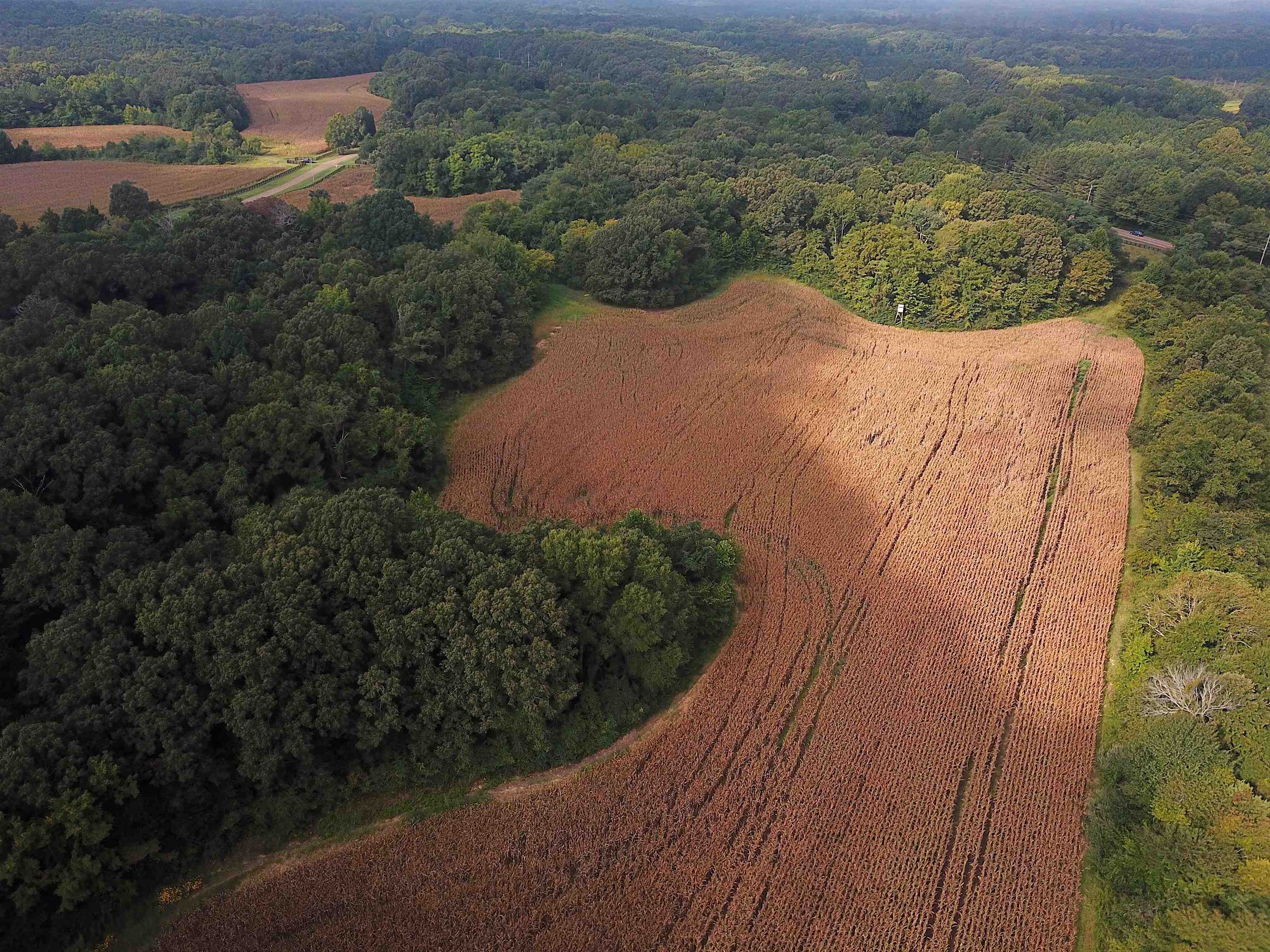 42 Richardson Road Hickory Valley, TN 38039 - Photo 10 of 17 an aerial view of a houses with a yard