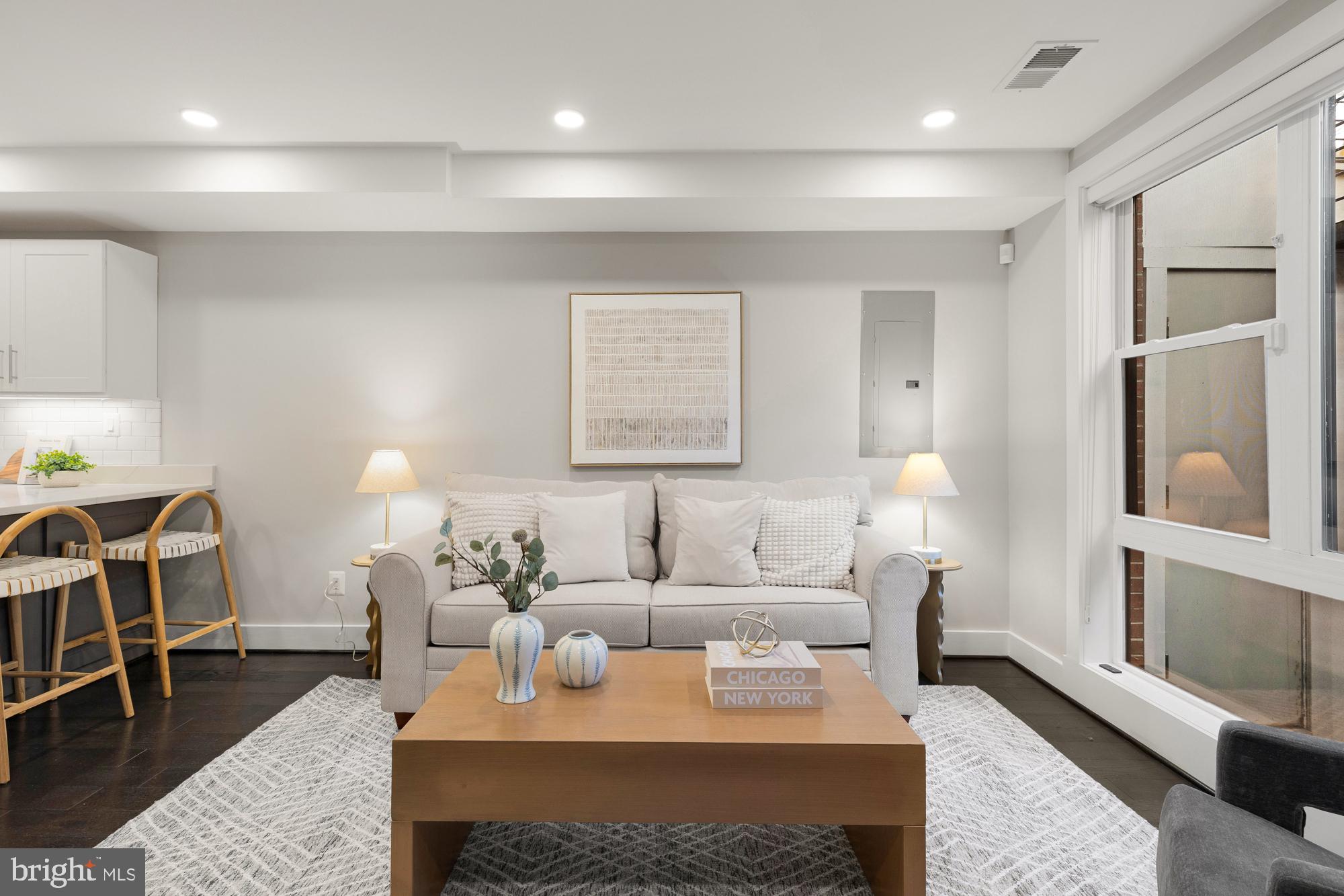 1503 K Street Southeast, Unit C01 Washington, DC 20003 - Photo 3 of 16 a living room with furniture a rug and a lamp