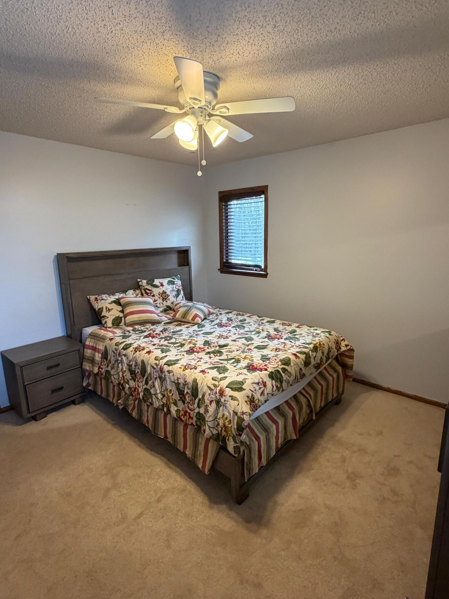 301 Aster Drive Northfield, MN 55057 - Photo 28 of 43