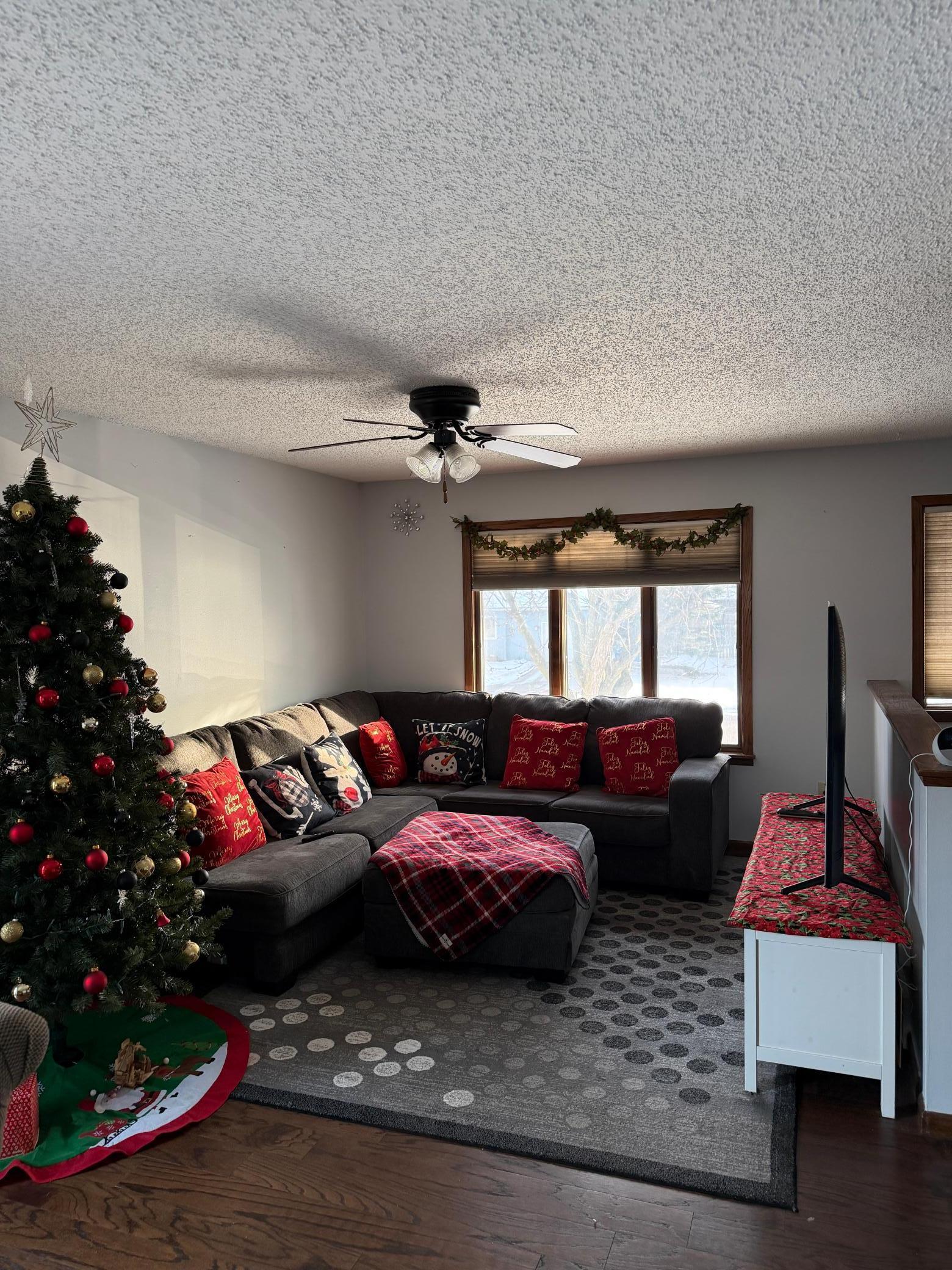 301 Aster Drive Northfield, MN 55057 - Photo 3 of 43