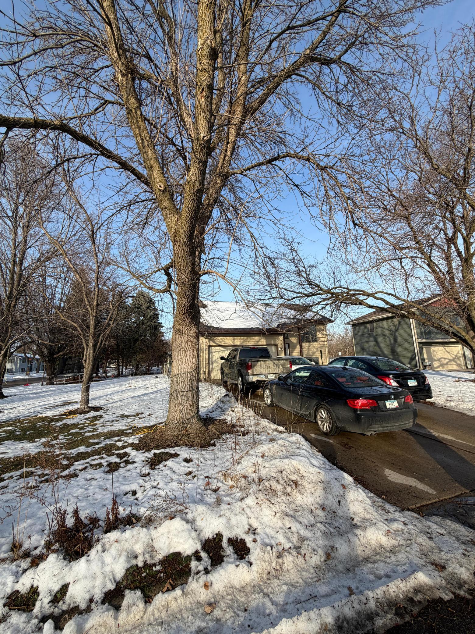 301 Aster Drive Northfield, MN 55057 - Photo 40 of 43