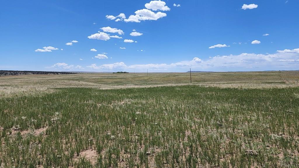 110 County Road 110 Rye, CO 81069 - Photo 5 of 37