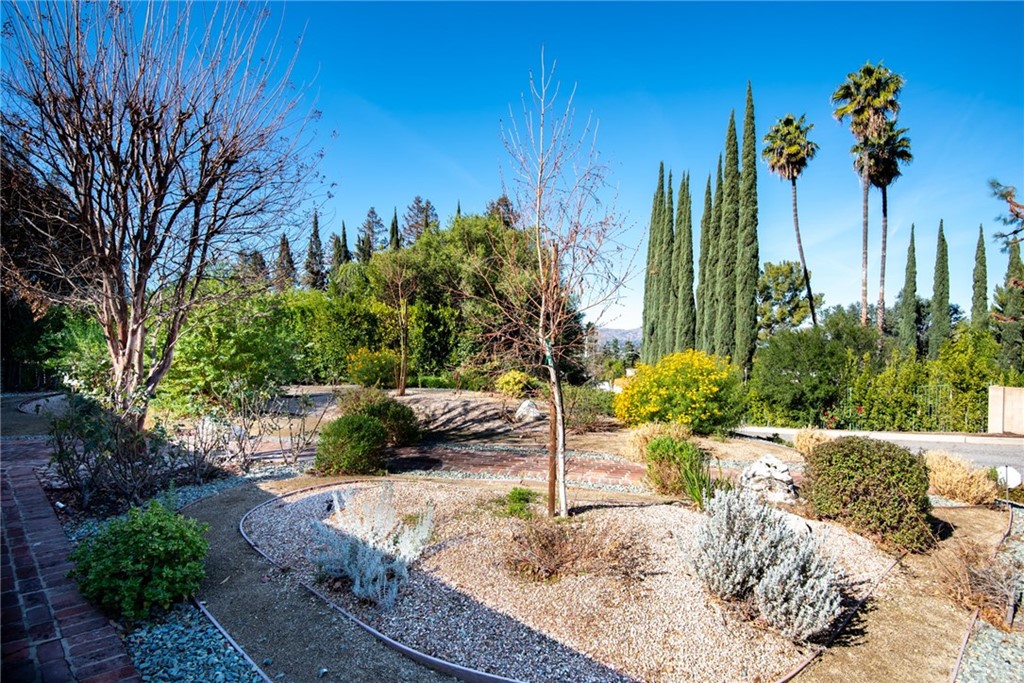 20140 Adele Drive Woodland Hills, CA 91364 - Photo 3 of 20 a view of a garden with a tree in front of it