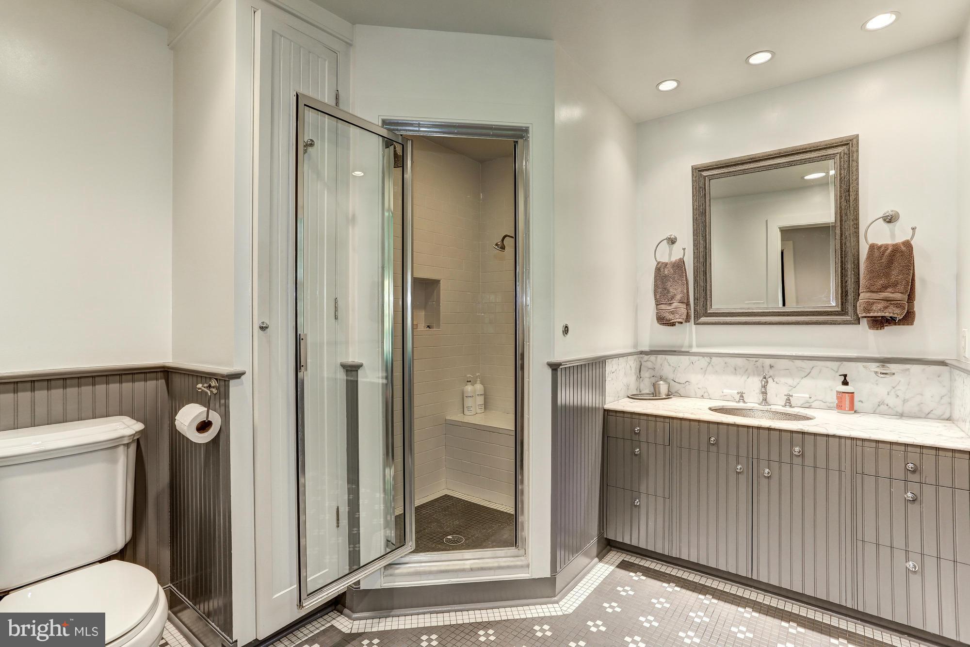 18099 Raven Rocks Road Bluemont, VA 20135 - Photo 15 of 30 Steam shower