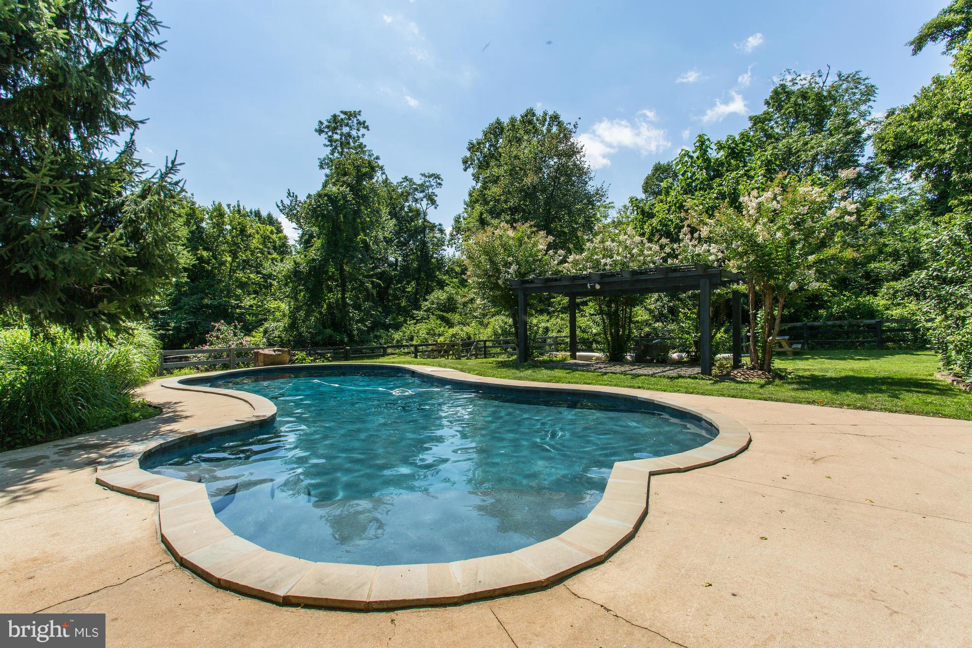 18099 Raven Rocks Road Bluemont, VA 20135 - Photo 29 of 30 Wonderful private pool for gatherings