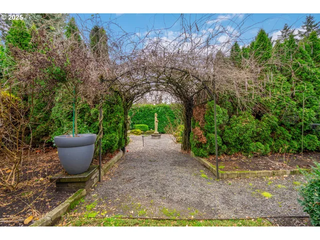 a view of a backyard with potted plants