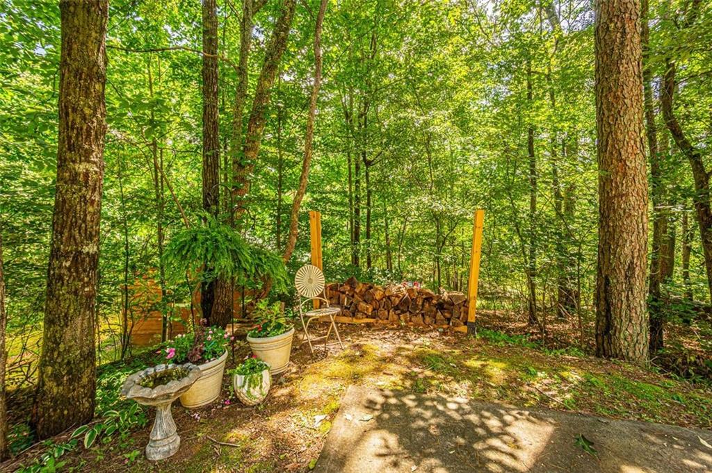 61 Hubler Road Dahlonega, GA 30533 - Photo 51 of 59