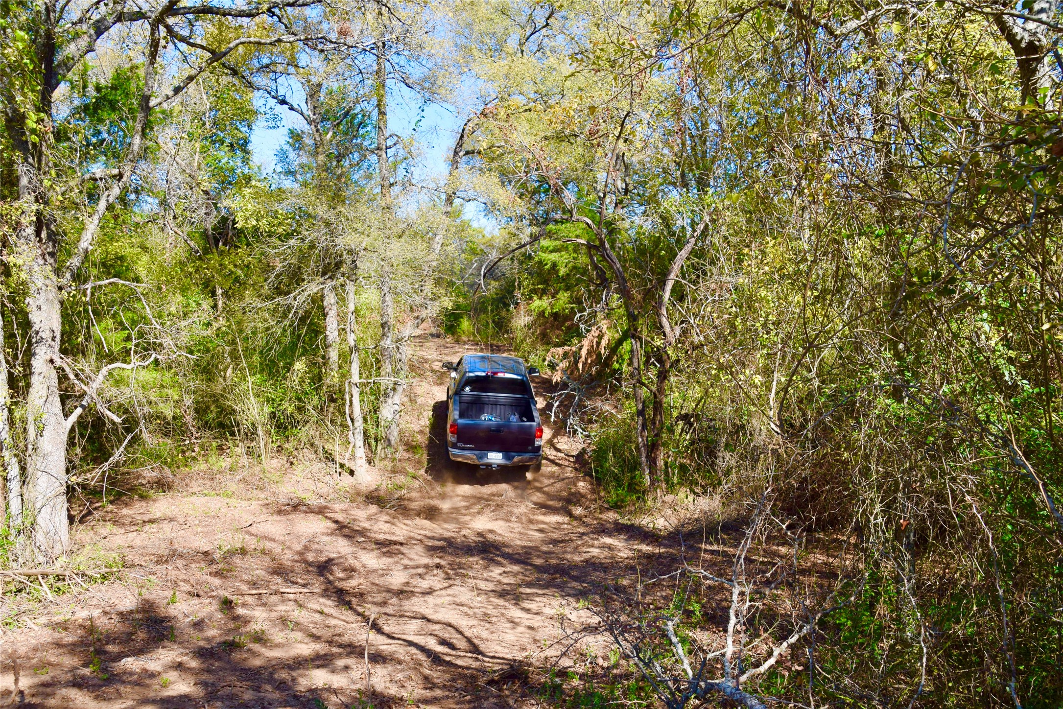 0 Lcr 258 Mexia, TX 76667 - Photo 11 of 15 a view of an outdoor space with a trees