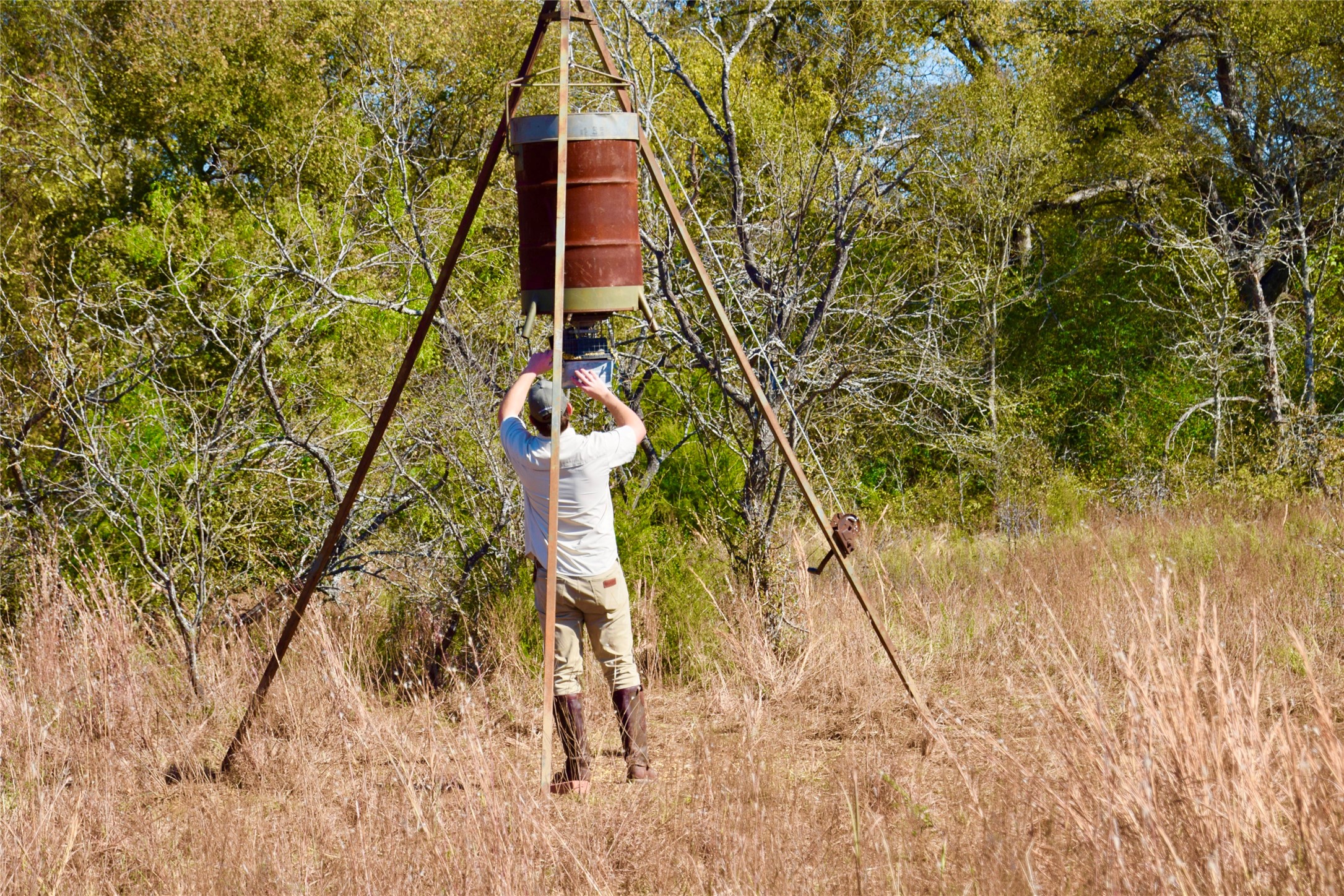 0 Lcr 258 Mexia, TX 76667 - Photo 12 of 15 a picture of a tree