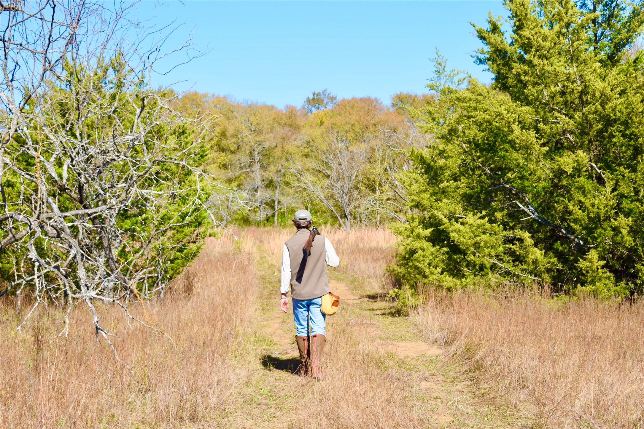 0 Lcr 258 Mexia, TX 76667 - Photo 15 of 15 a view of yard