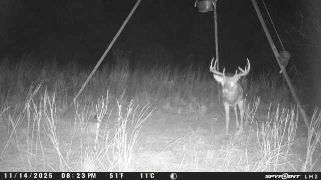 0 Lcr 258 Mexia, TX 76667 - Photo 6 of 15 a view of wooden floor