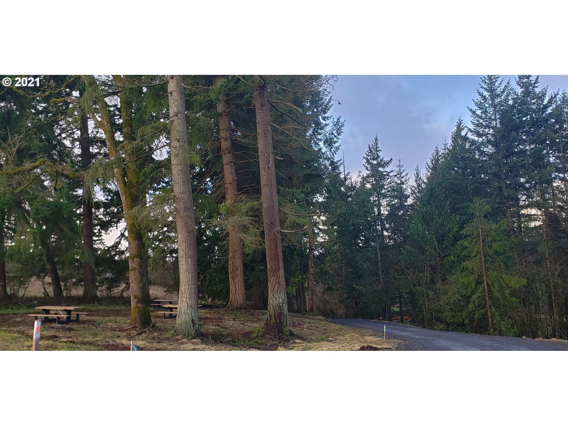 2933 North Mccanta Way Ridgefield, WA 98642 - Photo 30 of 30