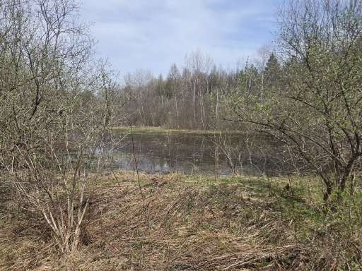 Doyle Road West Edmeston, NY 13485 - Photo 1 of 1 Pond