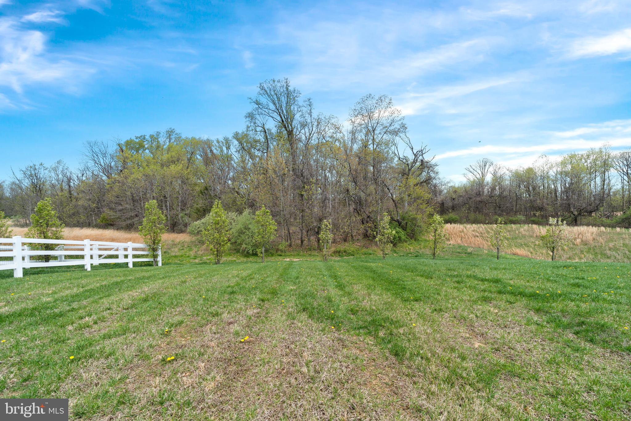 141 Wye Oak Drive Townsend, DE 19734 - Photo 16 of 32 a view of a park with large trees