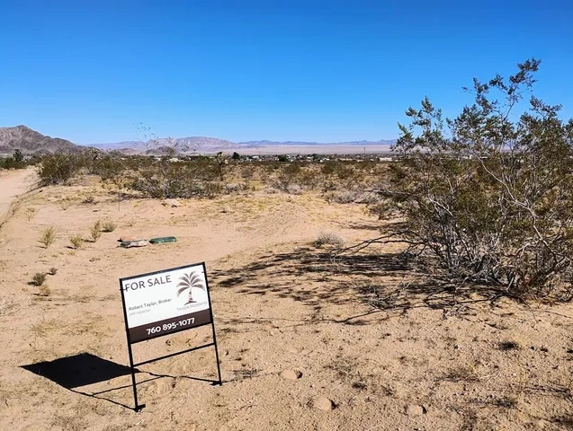 a view of a sky from a yard