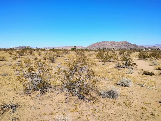 a view of a large building with a forest in the background