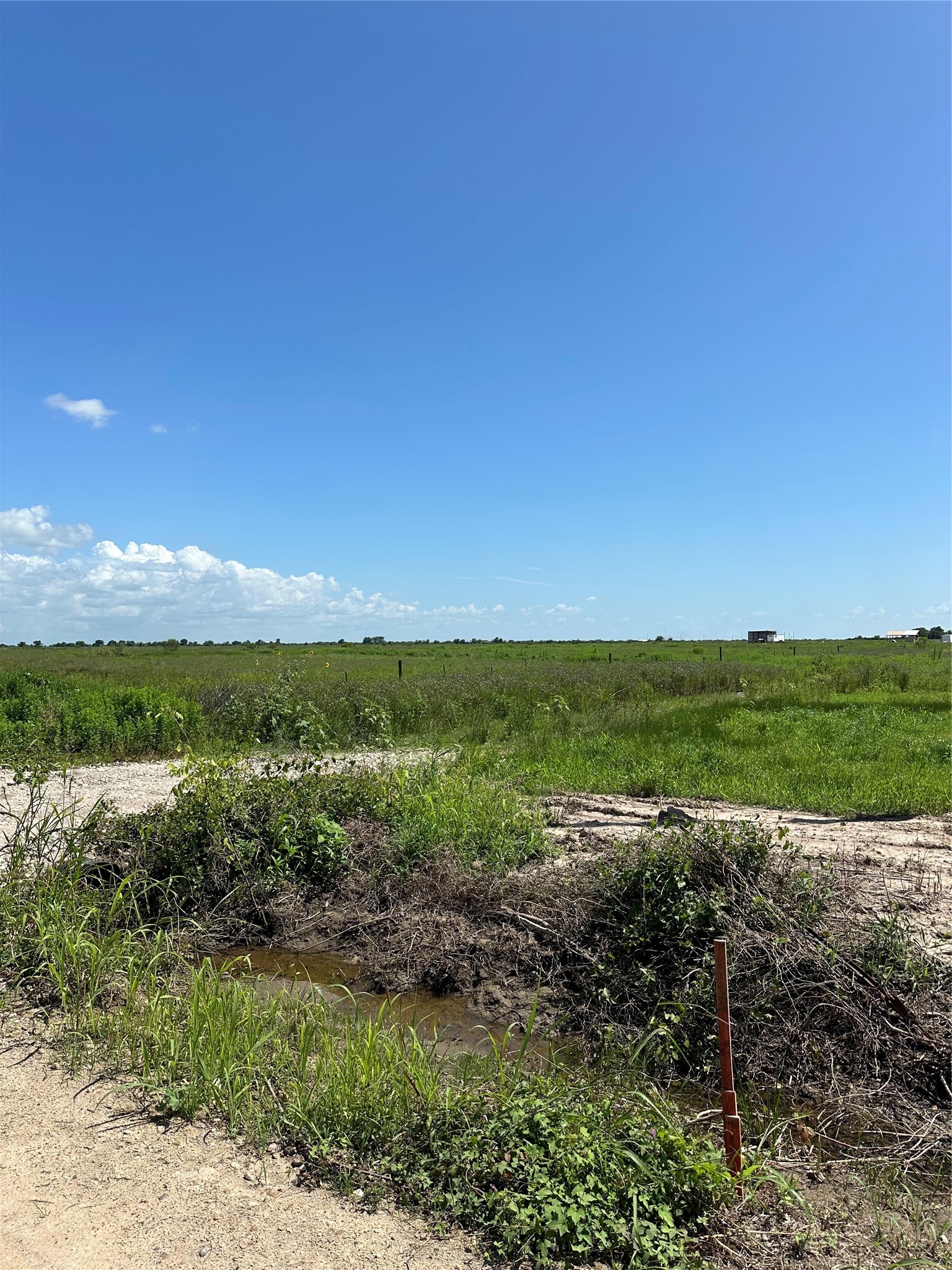 Tbd Tbd Beal Road Eagle Lake, TX 77434 - Photo 4 of 7