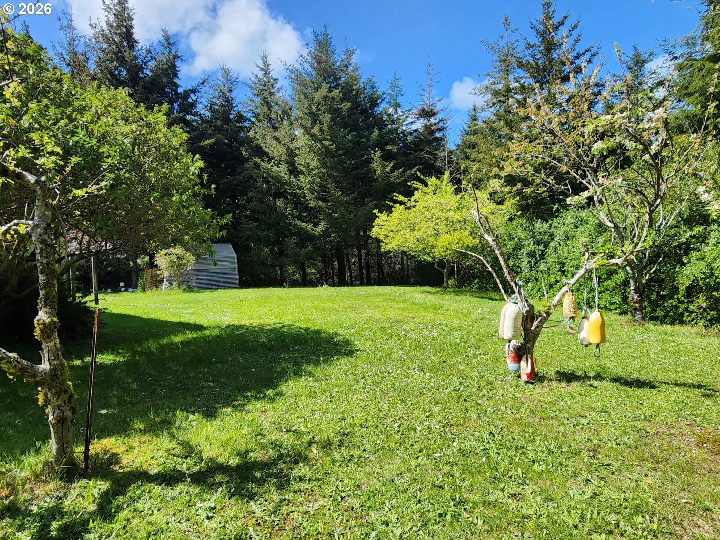 42550 Mill Pond Road Port Orford, OR 97465 - Photo 28 of 35 Yard