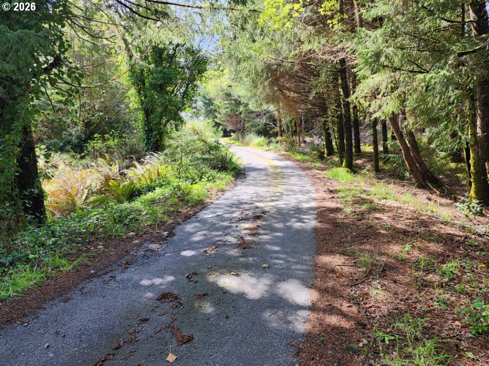 42550 Mill Pond Road Port Orford, OR 97465 - Photo 34 of 35 Driveway