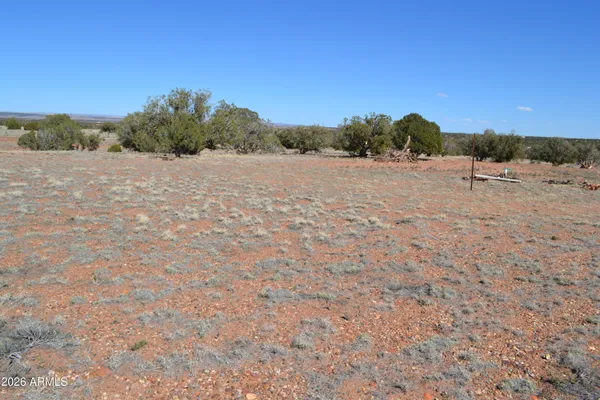 a view of a dry field with trees in the background