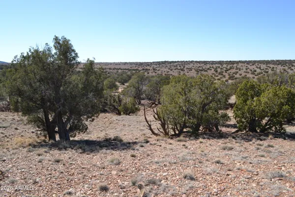 a view of a road with a mountain in the background