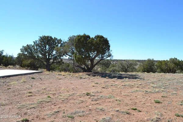 a view of a yard with a tree