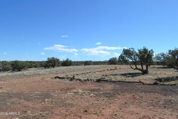 a view of a field with trees in background