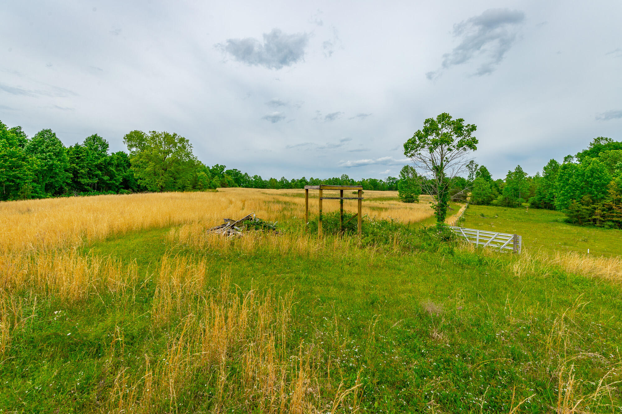 0 Ray Gadd Road Graysville, TN 37338 - Photo 41 of 109 Ray Gadd Road Lot HD-33