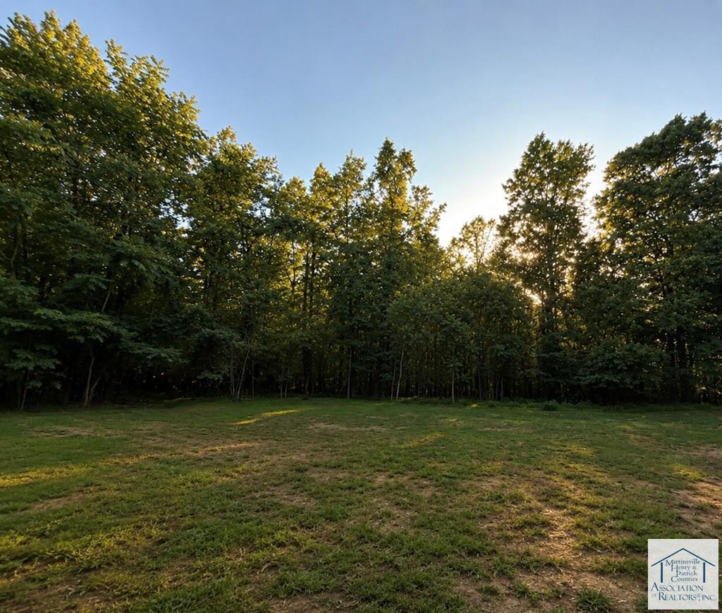 6685 Fork Mountain Road Rocky Mount, VA 24151 - Photo 16 of 17 FM - 17