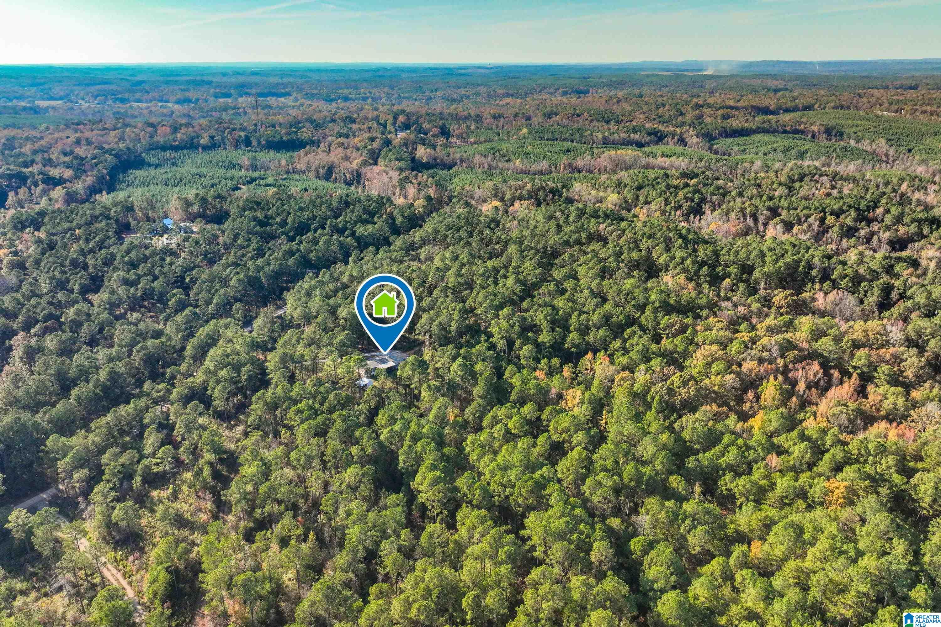 203 Gould Road Columbiana, AL 35051 - Photo 55 of 56