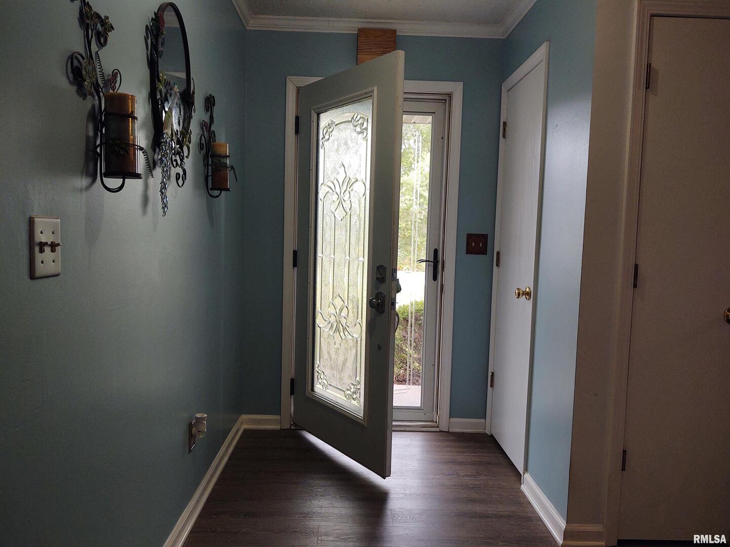 110 Stork Street Anna, IL 62906 - Photo 6 of 27 a view of entryway with wooden floor