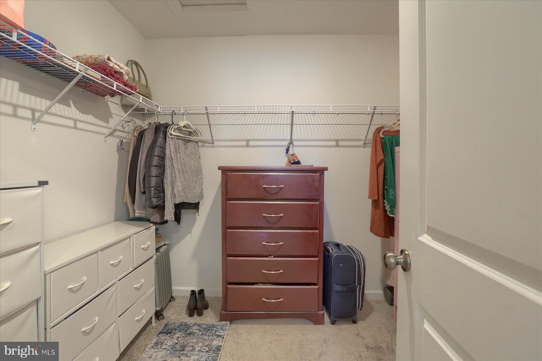 110 Emma Circle Harrisburg, PA 17112 - Photo 18 of 32 a view of a walk in closet